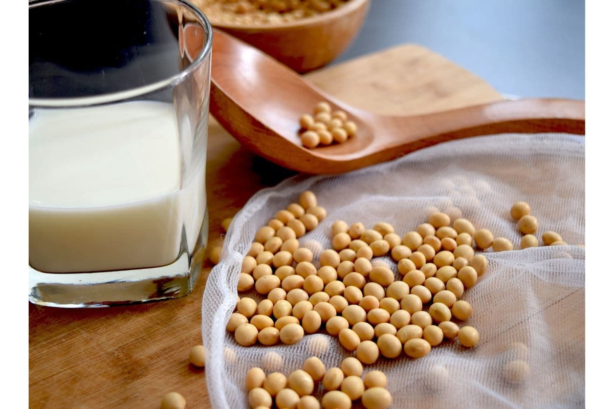 Soy milk benefits: सोया मिल्क के फायदे और स्वास्थ्य पर असर