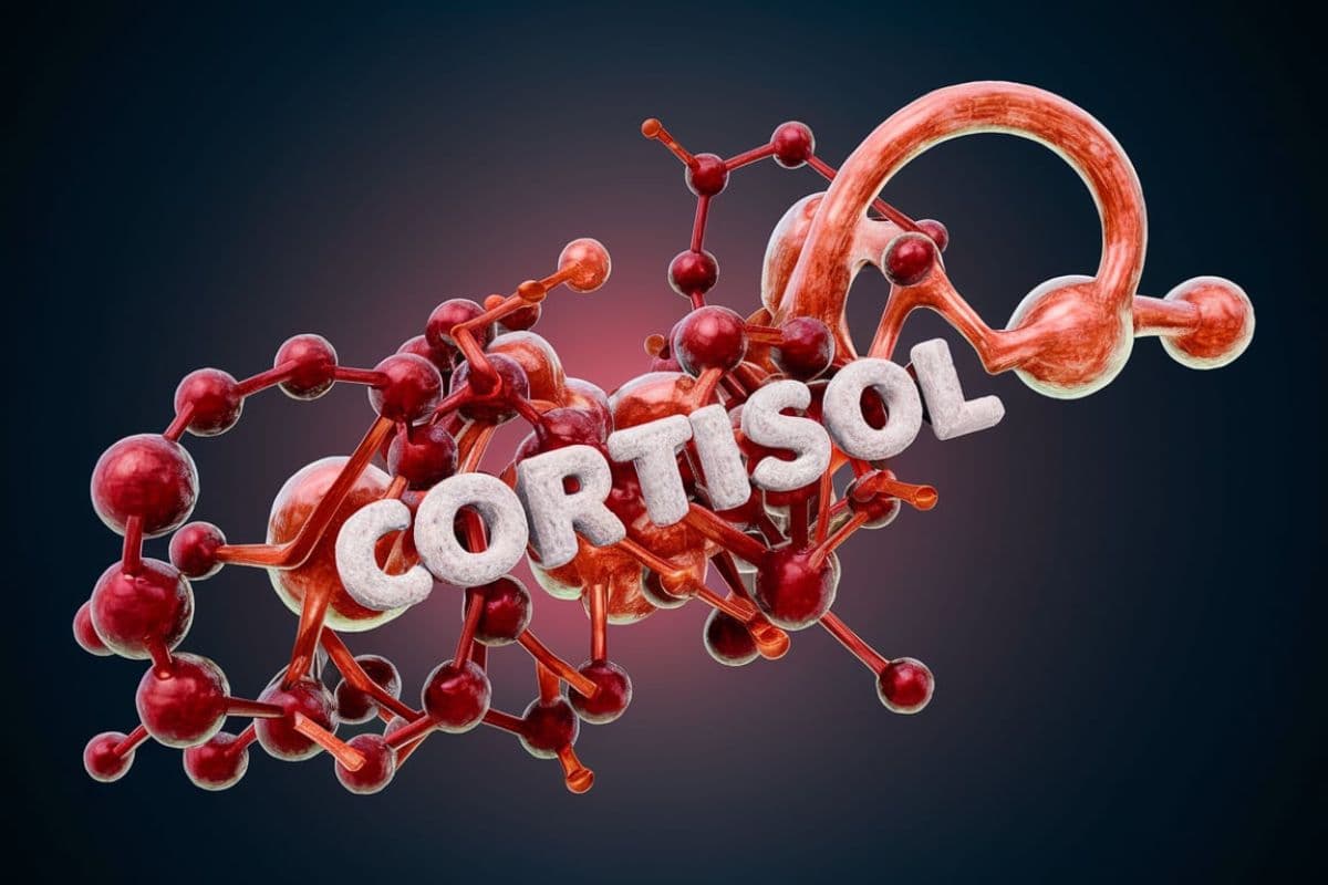 Cortisol hormones: कोर्टिसोल का मानसिक और शारीरिक स्वास्थ्य पर प्रभाव