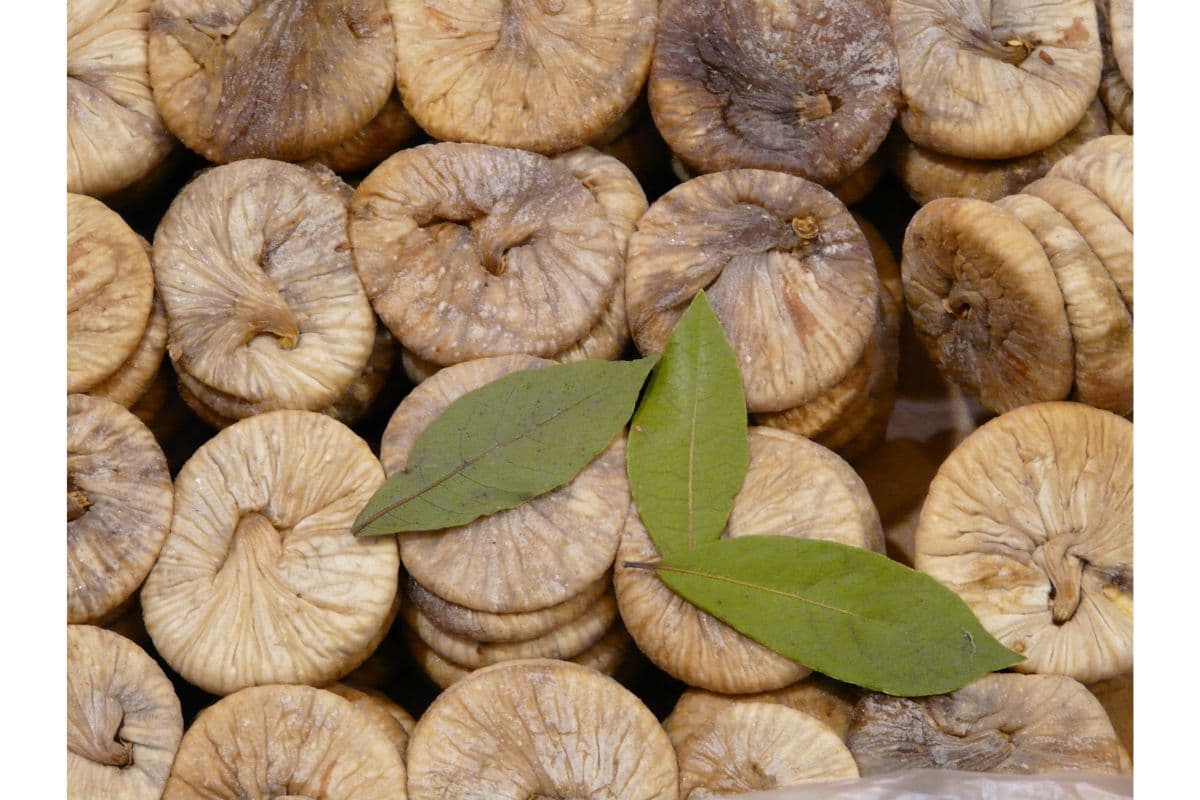 Fig benefits and side effects: अंजीर के फायदे और नुकसान