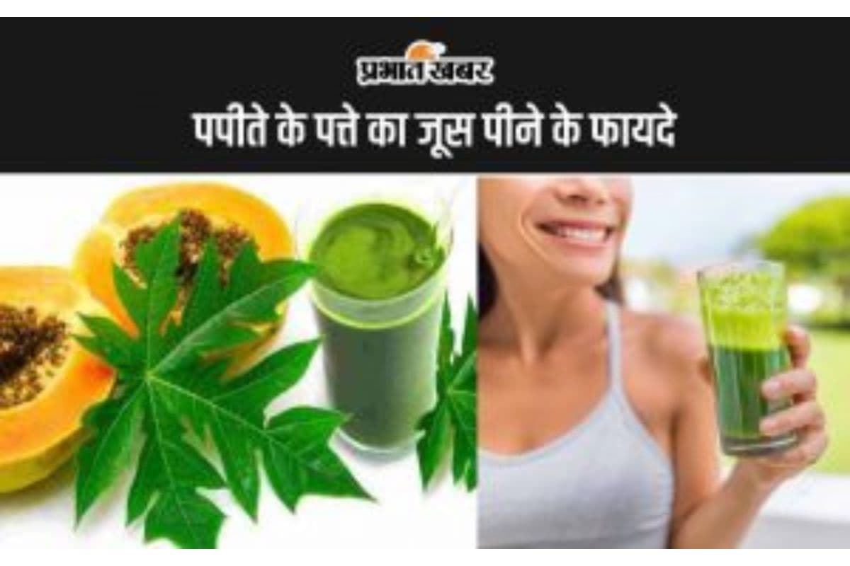 Papaya leaf benefits: पपीते के पत्ते का जूस पीने के फायदे