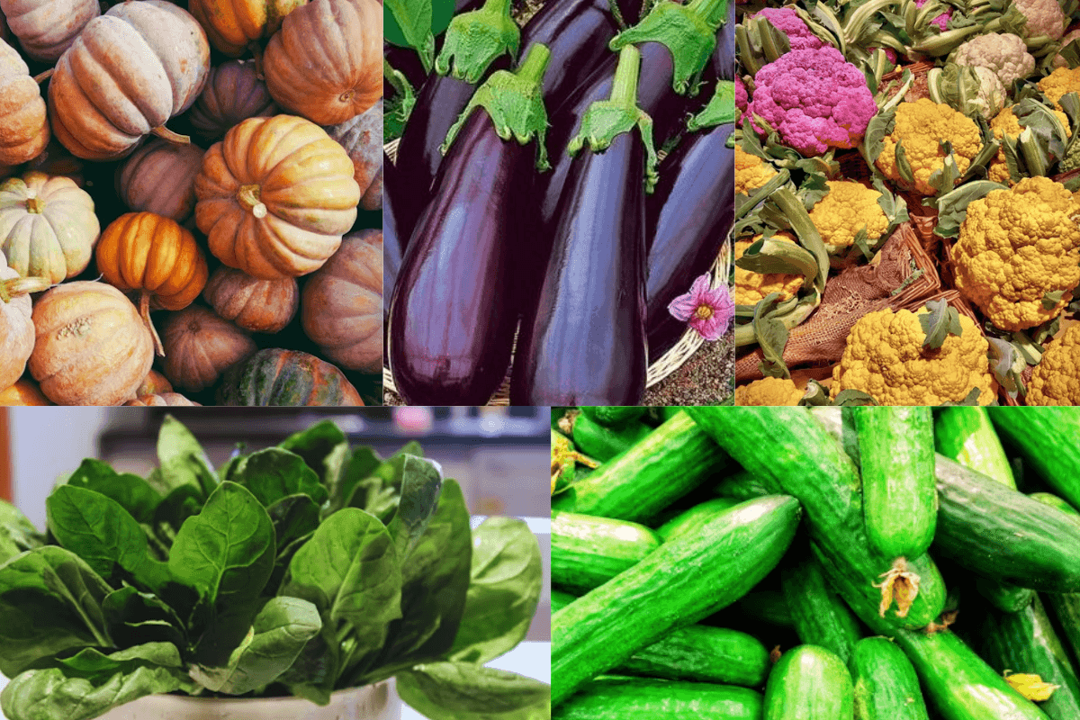 Health Tips: बारिश के मौसम में गलती से भी न करें इन सब्जियों का सेवन, सेहत को हो सकता है नुकसान