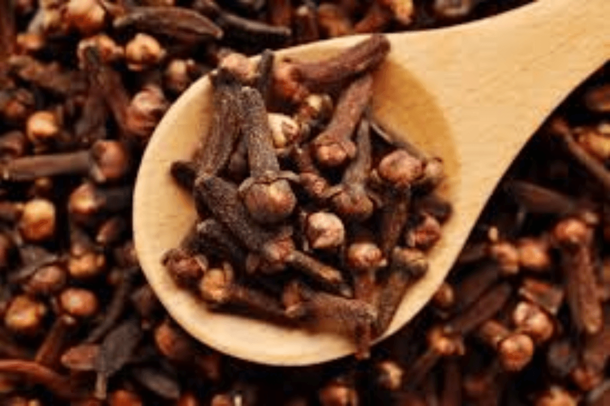 Benefits of Clove: लौंग, आयुर्वेद का अनमोल खजाना और इसके बड़े चमत्कारी फायदे Benefits of Clove: लौंग, आयुर्वेद का अनमोल खजाना और इसके बड़े चमत्कारी फायदे
