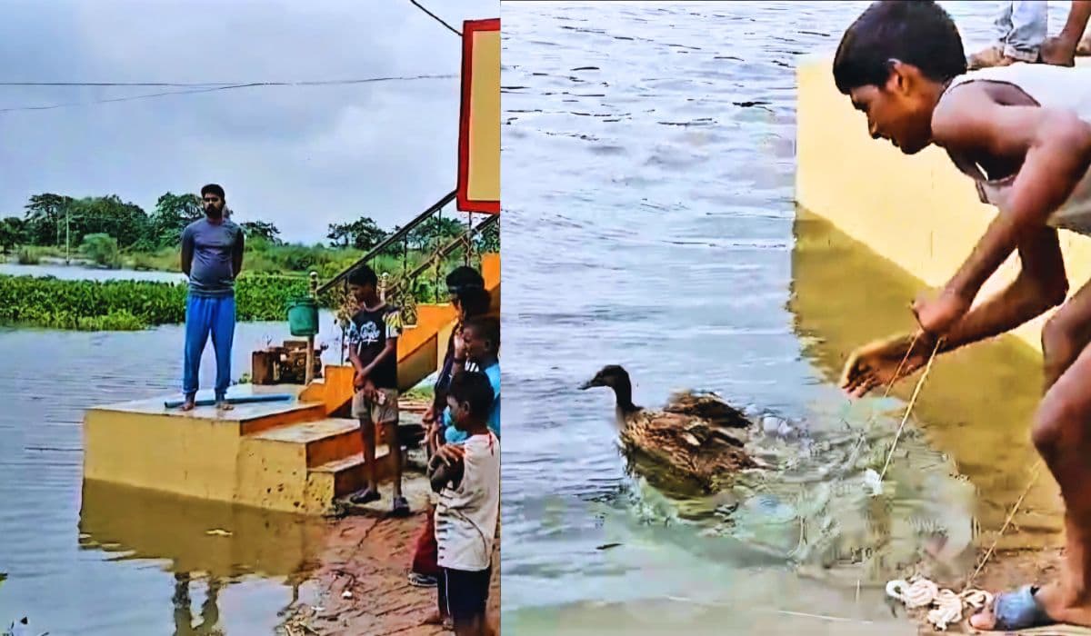 भोजपुर में पानी से भरे गड्ढे में ग्रामीणों ने देखा मगरमच्छ, पूरे इलाके में दहशत का माहौल…