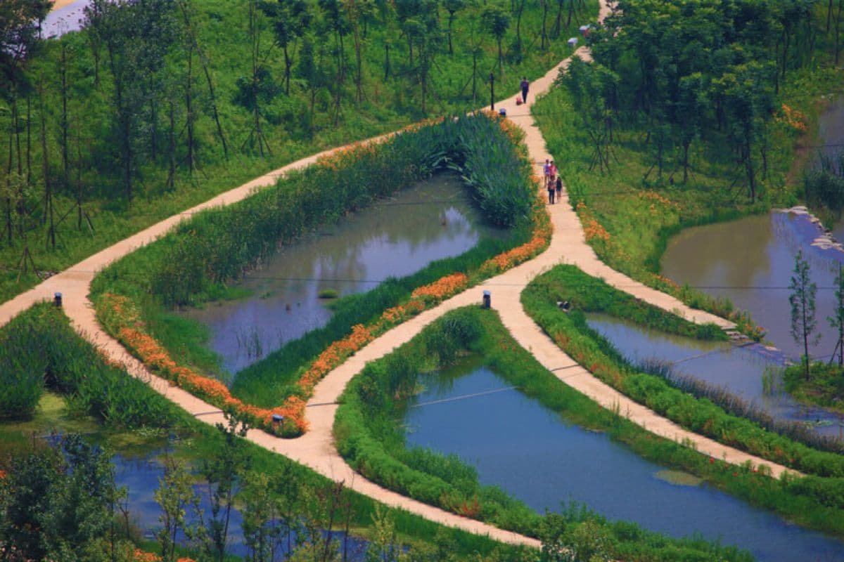 क्या ‘स्पंज-सिटी’ दृष्टिकोण शहरी बाढ़ के लिए एक समाधान हो सकता है?