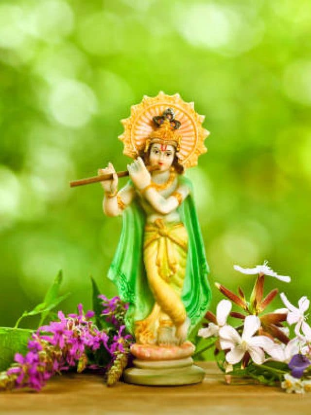 श्री कृष्ण जन्माष्टमी का पावन पर्व