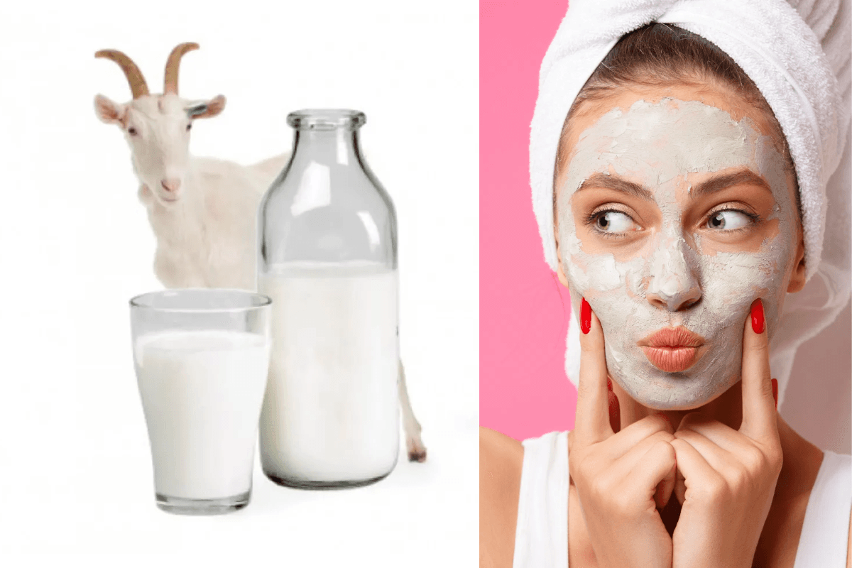 Healthy Skin: बकरी के दूध से बनाएं फेस पैक और पाएं खूबसूरत त्वचा