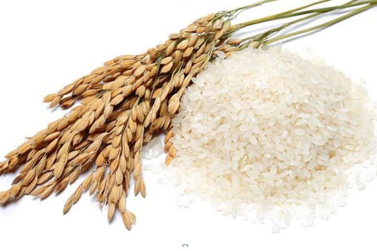 Variety of Indian rice: कई तरह के चावल, कई तरह के स्वाद