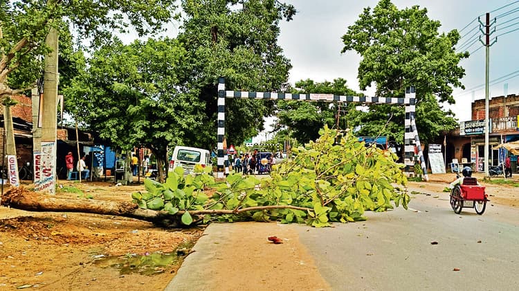 फिर एक पेड़ गिरा मुख्य सड़क पर, बाल-बाल बचे बाइक सवार