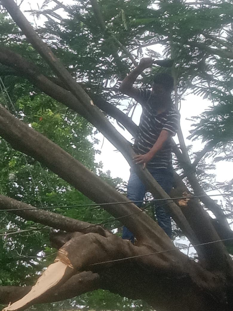 आंधी-बारिश से बेपटरी हुई बिजली व्यवस्था, दूसरे दिन भी अधिकांश मुहल्लों में छाया अंधेरा