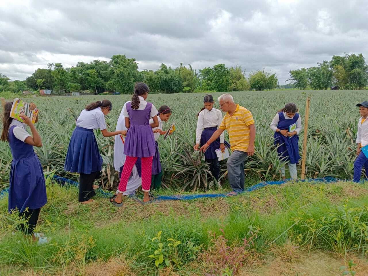 शिक्षा सप्ताह के छठे दिन बच्चों ने किया पौधरोपण, अनानास व चाय की खेती की ली जानकारी