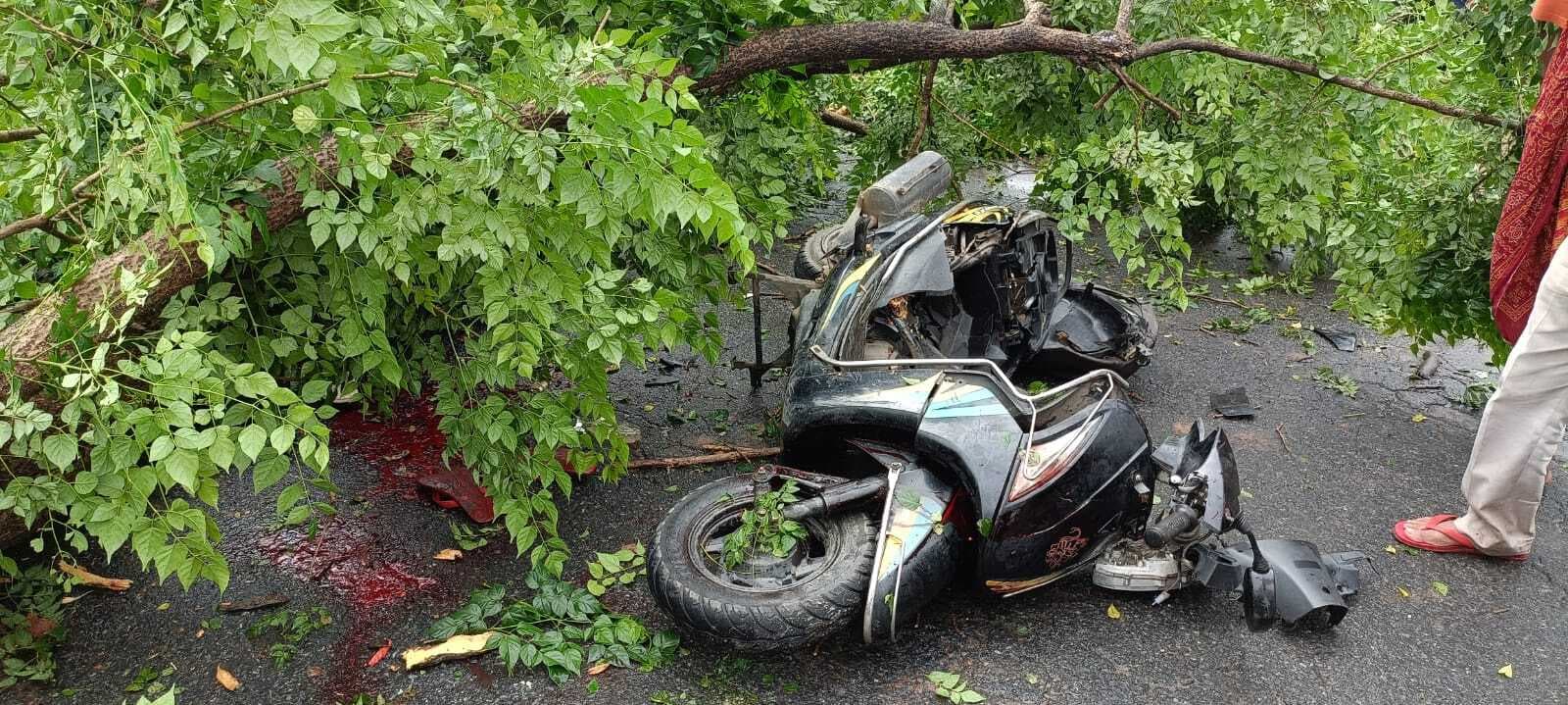 अमृत नगर के पास स्कूटी पर गिरा पेड़, दो घायल