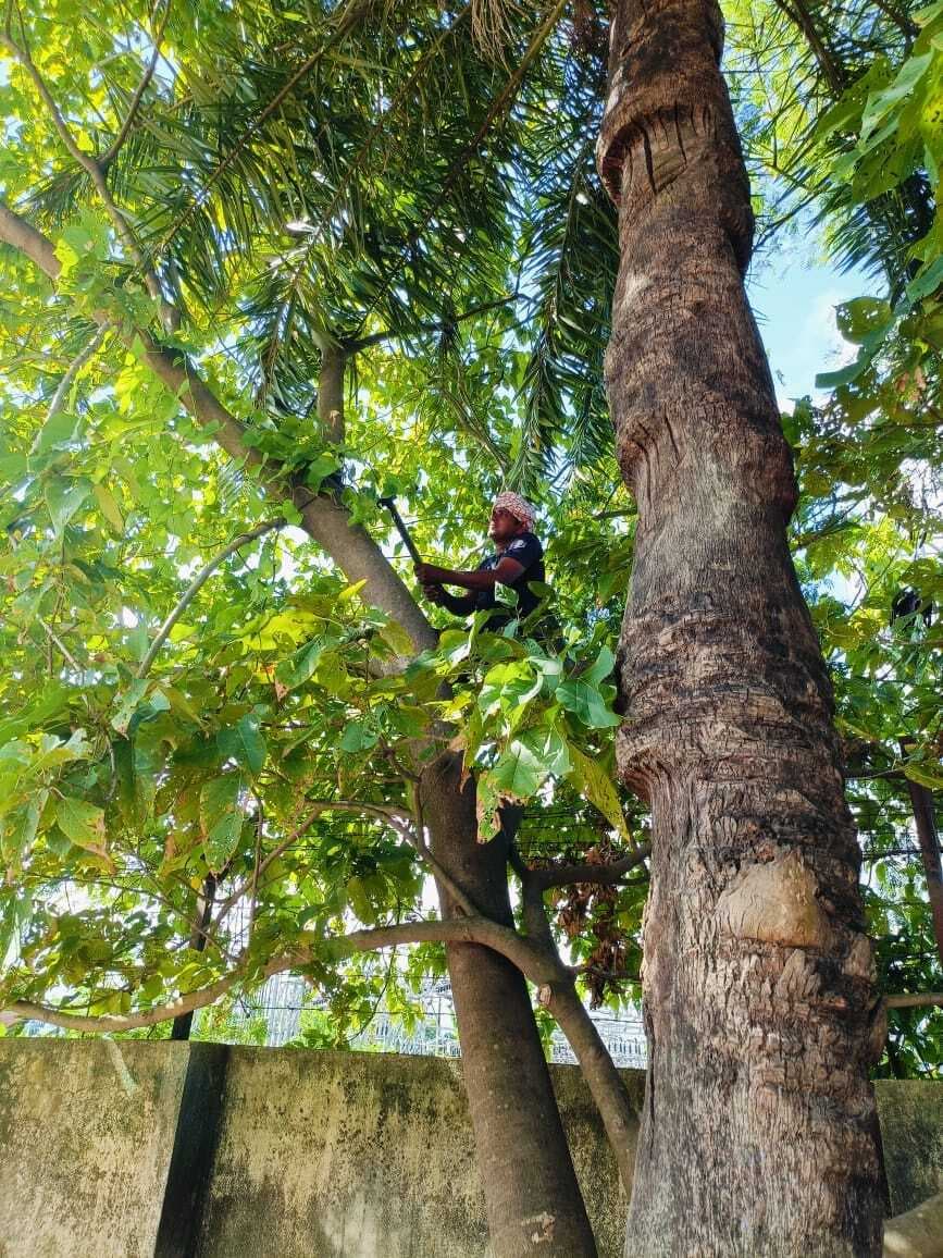 गंगवाड़ा ग्रिड के आधा दर्जन उपकेंद्रों से दोपहर तक ठप रही बिजली, 3.25 लाख की आबादी प्रभावित