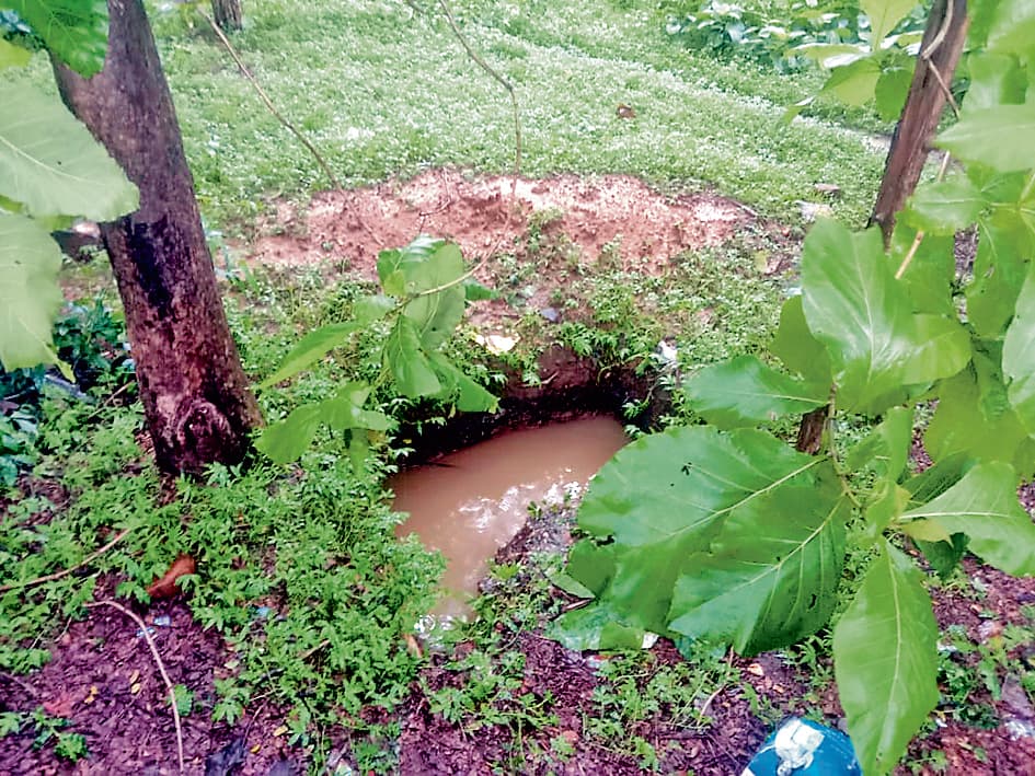 न्यू केंदा कोलियरी के चिल्ड्रेन पार्क के करीब गोफ, लोगों में दहशत