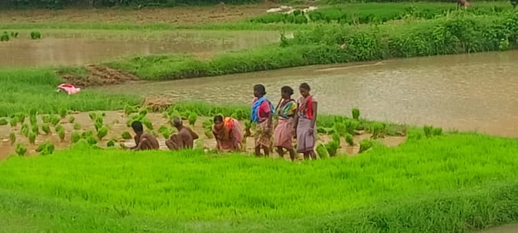 सारठ के सिकटिया अजय बराज में जलस्तर बढ़ने पर खोले गये पांच गेट, कोलियरी मे उत्पादन हुआ शुरू