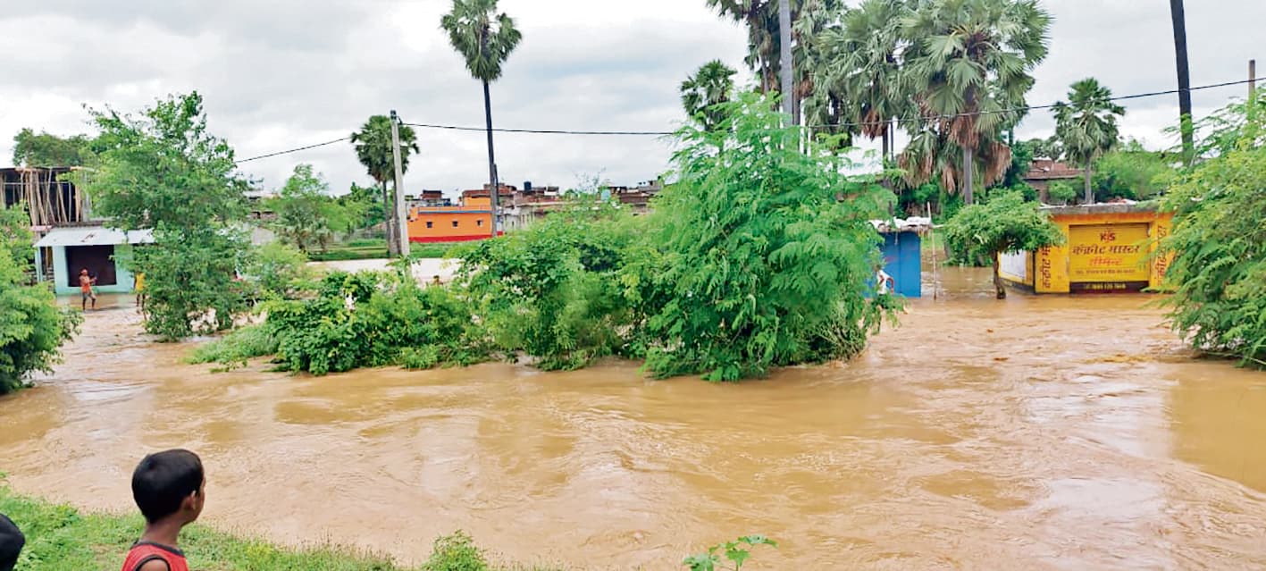 बोधगया के कई गांवों में घुसा मुहाने का पानी