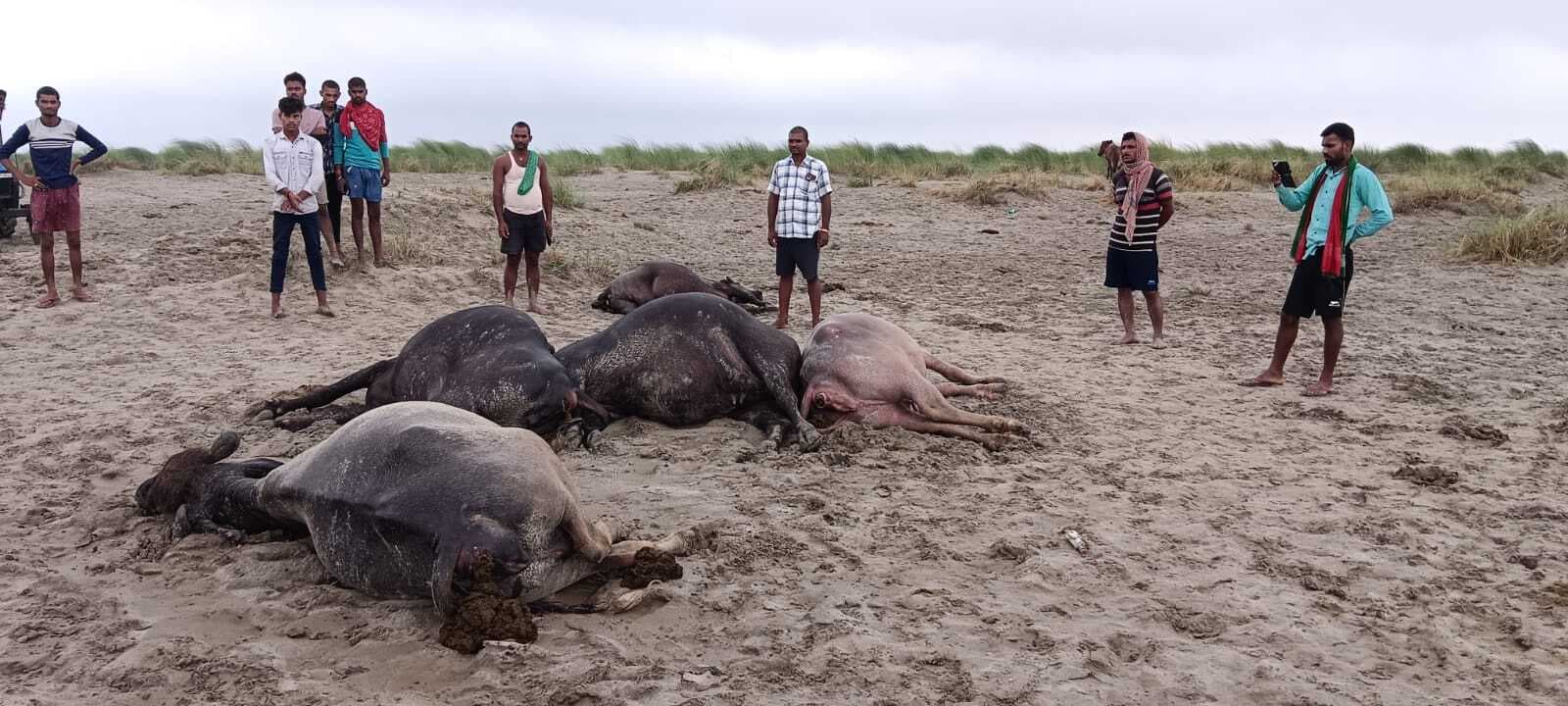 वज्रपात से किसान की मौत, बाल-बाल बचे चरवाहा