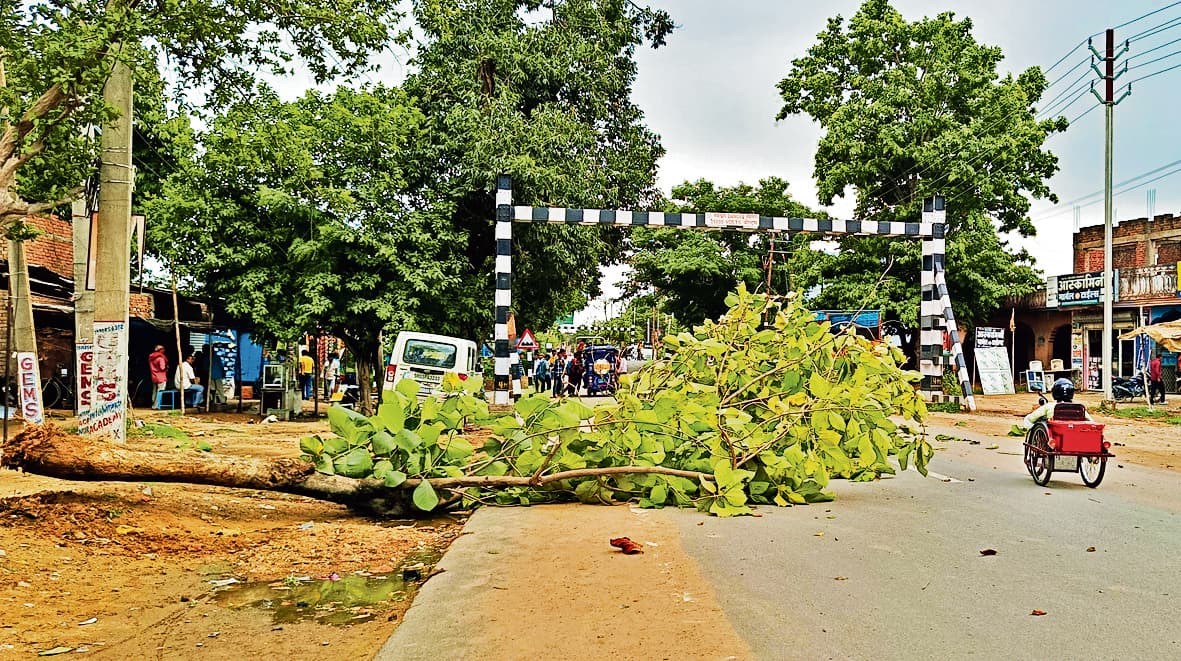 फिर एक पेड़ गिरा मुख्य सड़क पर, बाल-बाल बचे बाइक सवार