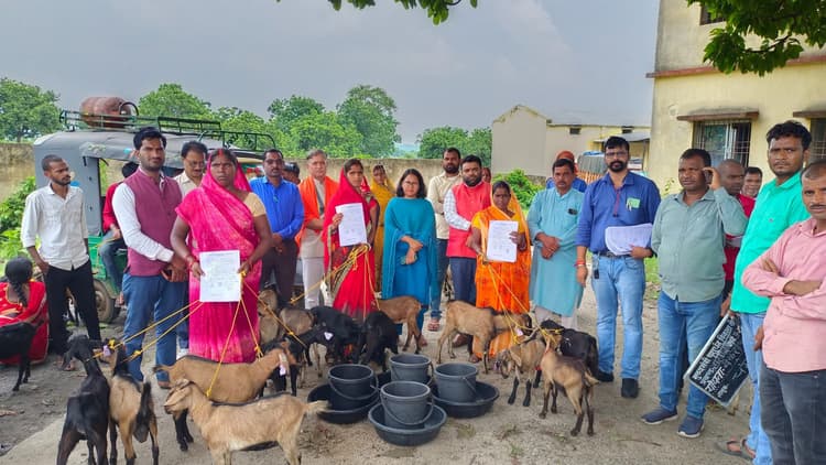 21 लाभुकों के बीच बकरी का वितरण