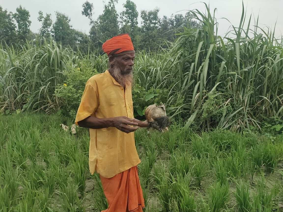 गन्ने के खेत में मिली मानव खोपड़ी व हड्डी