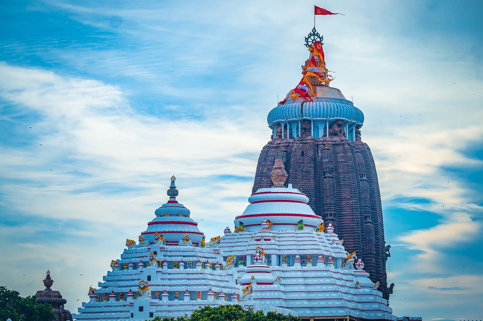 श्रीमंदिर रत्न भंडार के निरीक्षण और मरम्मत की एसओपी तैयार : अरविंद पाढ़ी