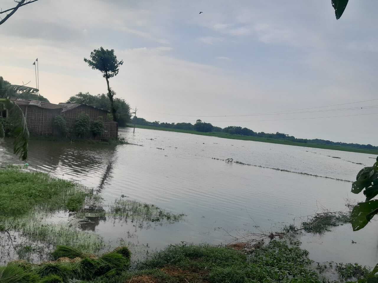 उफनाई बरजान नदी, सोनामनी गोदाम में घुसा बाढ़ का पानी, दहशत