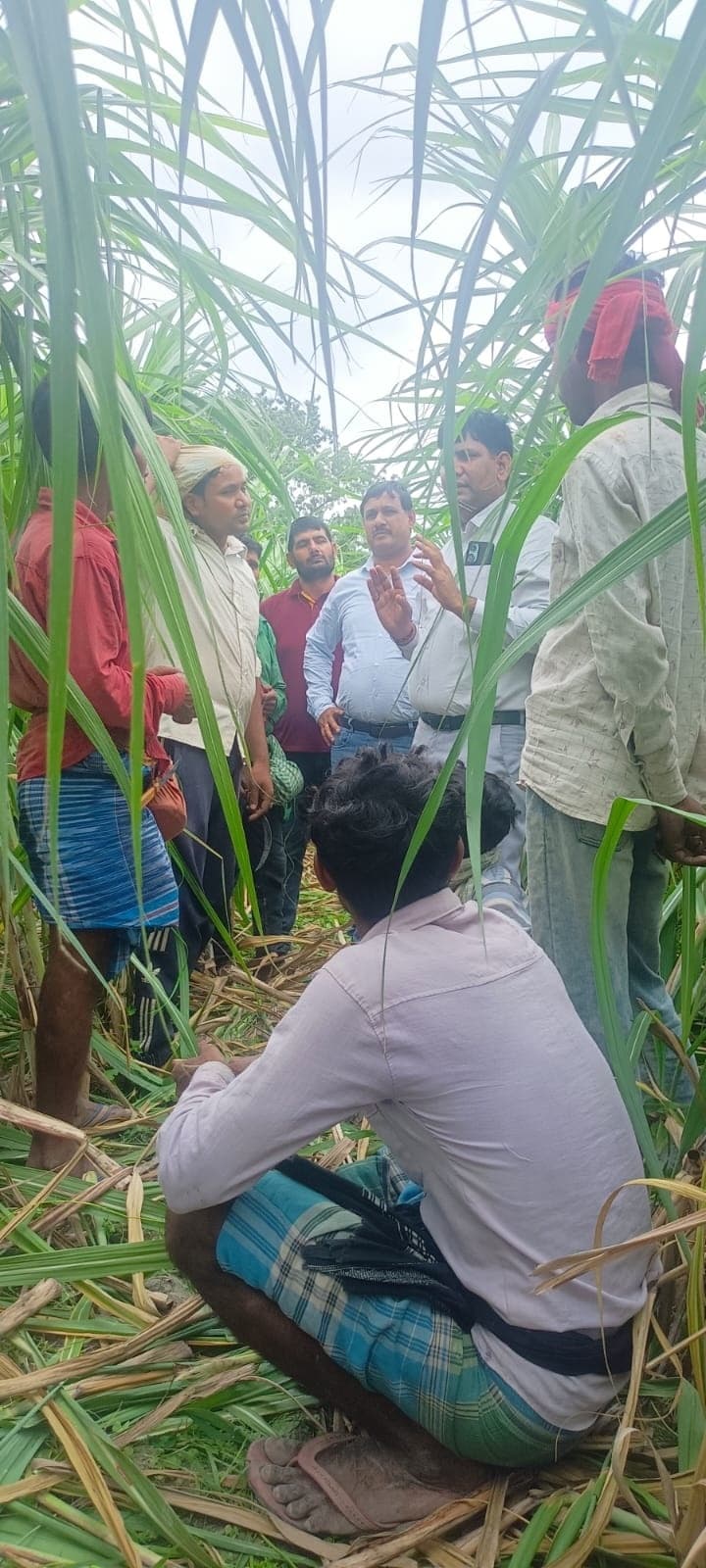 मानसून सक्रिय, 11 अगस्त तक सामान्य वर्षा की संभावना