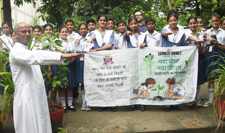 पर्यावरण को संतुलित रखने में पौधों की अहम भूमिका