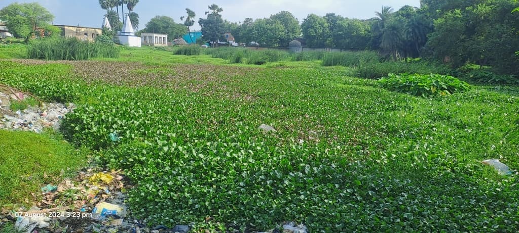 बामदेव तालाब : जल जीवन हरियाली अभियान की उड़ा रही है धज्जियां