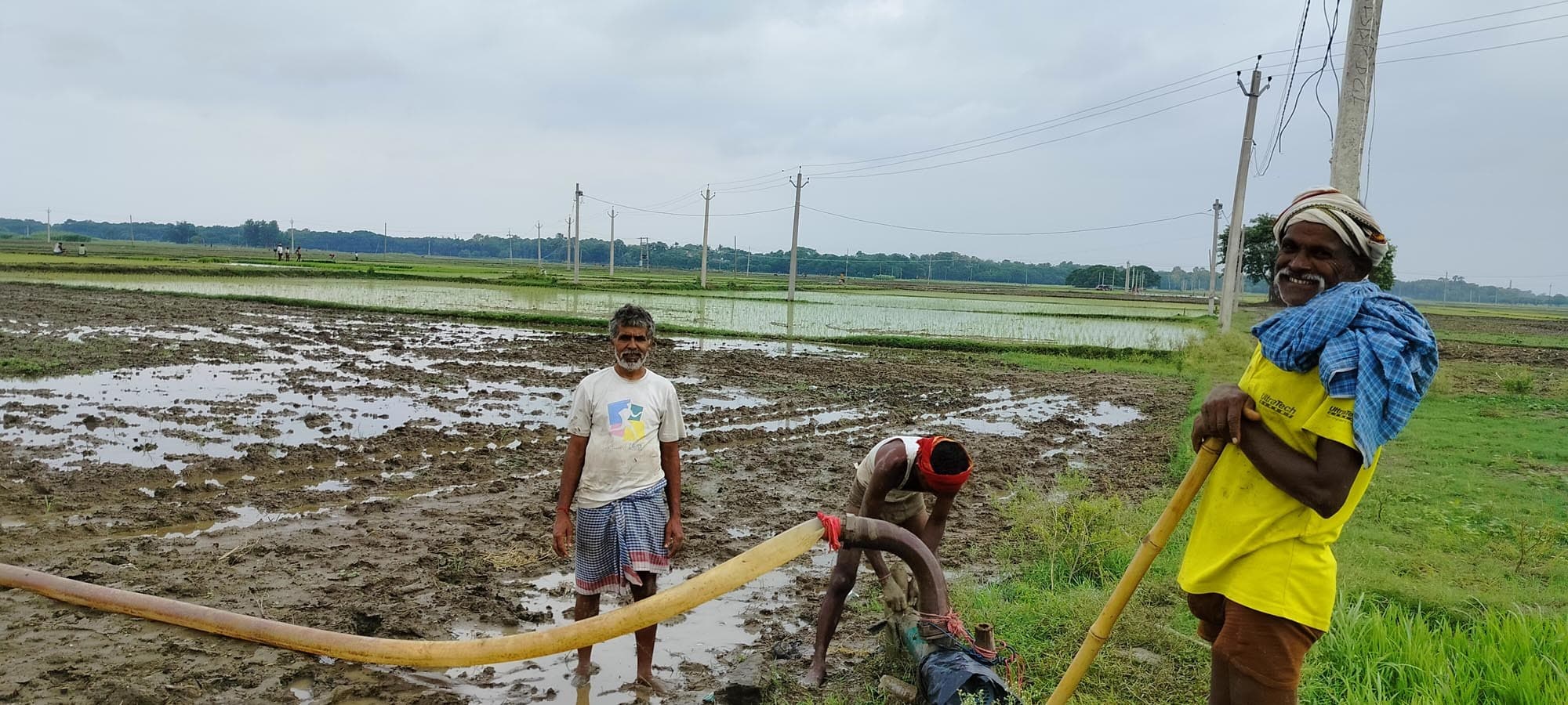 धानरोपनी के लिए हो 24 घंटे बिजली आपूर्ति