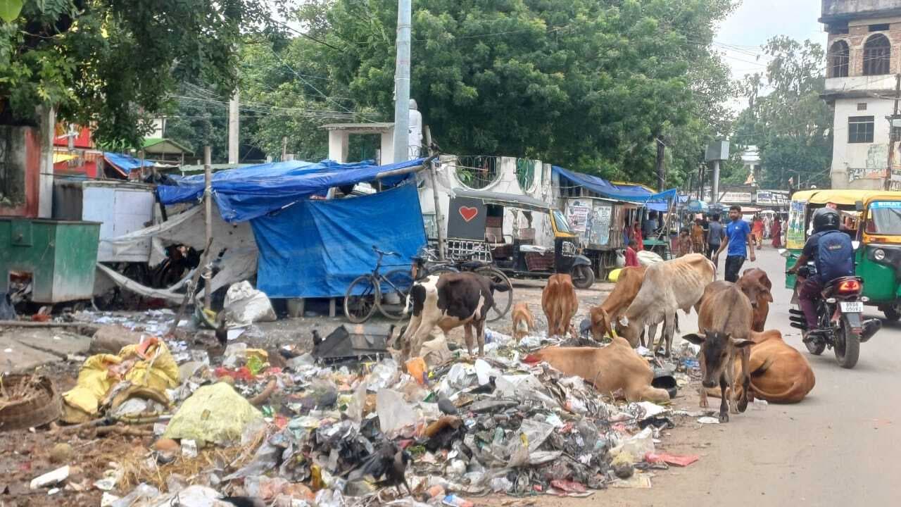 शहर में ठप रहा सफाई का कार्य, न लगा सड़कों पर झाड़ू और न ही उठा कूड़ा