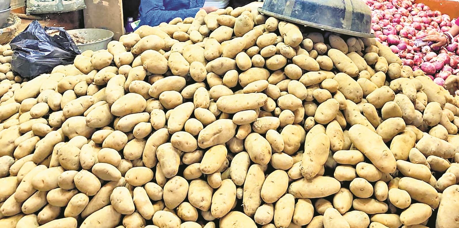 ओडिशा में आलू संकट : 100 रुपये में तीन किलो आलू बेचेगी राज्य सरकार