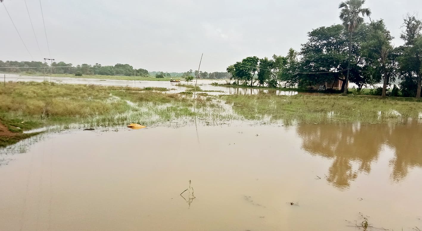 काव नदी उफान पर, हजारों एकड़ फसल जलमग्न