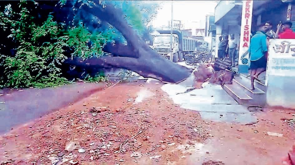 उखड़ा-माधाईगंज रोड पर पेड़ गिरने से घंटों बाधित रही यातायात व्यवस्था