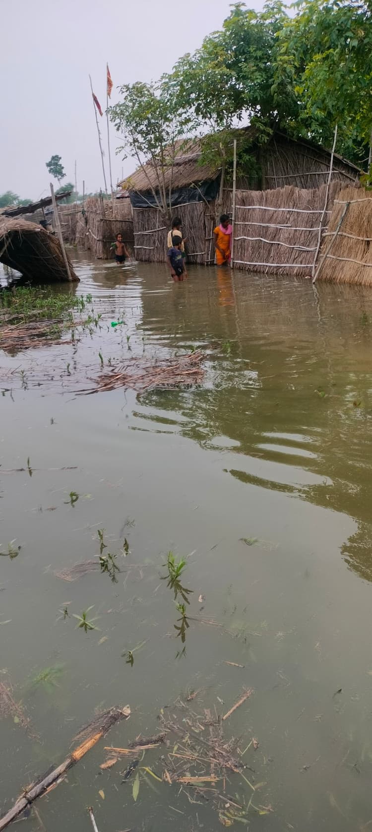 कोसी नदी में उफान से बाढ़ में घिरे प्रखंड के दर्जनों गांव