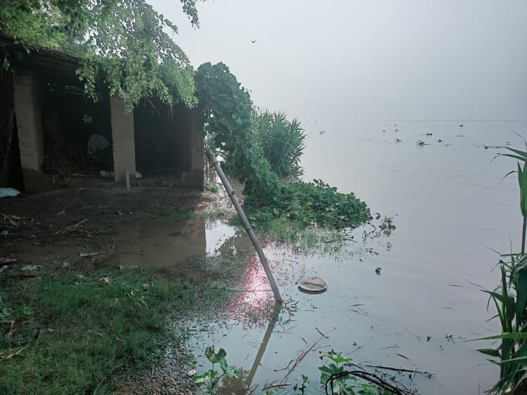 सिंघिया पंचायत की कई स्थानों पर गंगा के जलस्तर में वृद्धि से बढ़ा पानी का दबाव