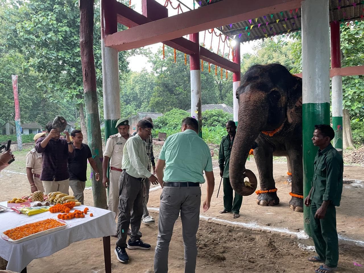 विश्व हाथी दिवस पर वीटीआर के हाथियों को निदेशक ने किया स्वागत