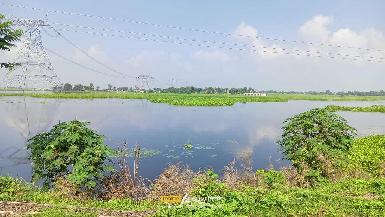 कोसी कमला व भुतही बलान का पानी उफनाया, घरों में घुसा पानी, डीएम से क्षति अवलोकन की मांग