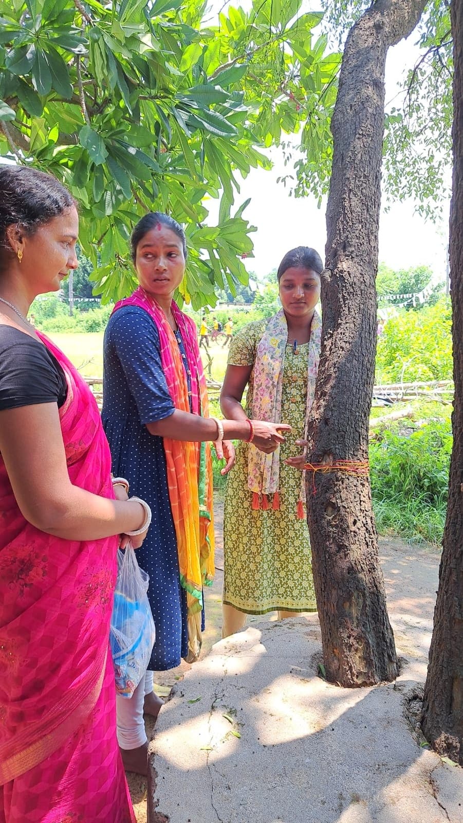 आरजीएस गुरुकूलम की छात्राओं ने वृक्षों को रक्षा सूत्र बांधकर मनाया त्योहार