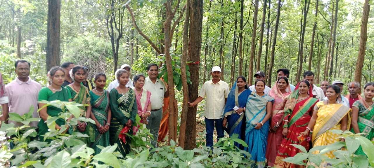 पेड़ों को बांधा रक्षा सूत्र, जंगल बचाने का संकल्प