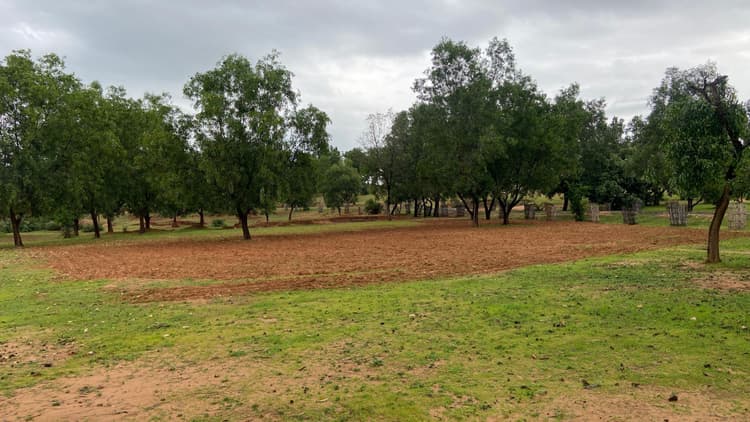 चेंगरबासा में जंगल की जमीन पर किया जा रहा है कब्जा