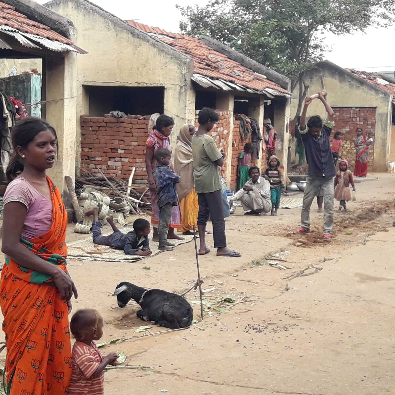 बारिश में त्रिपाल बना बिरहोर परिवारों का सहारा