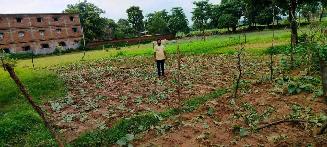 23 हाथियों के आतंक से रतजगा कर रहे हैं ग्रामीण