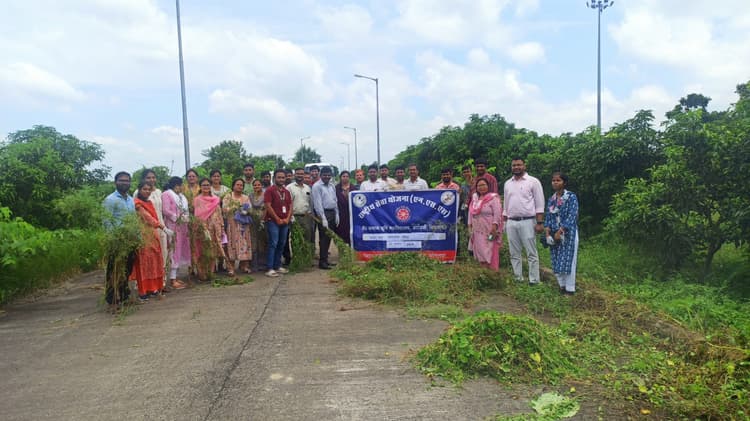 डा कलाम कृषि महाविद्यालय में मनाये जा रहे गाजरघास जागरूकता सप्ताह का आज होगा समापन