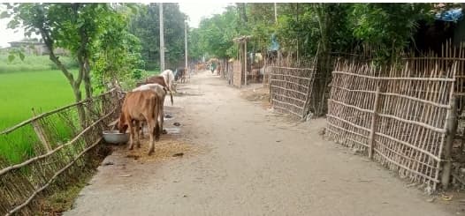 प्रखंड की कई ग्रामीण सड़कों का अतिक्रमण