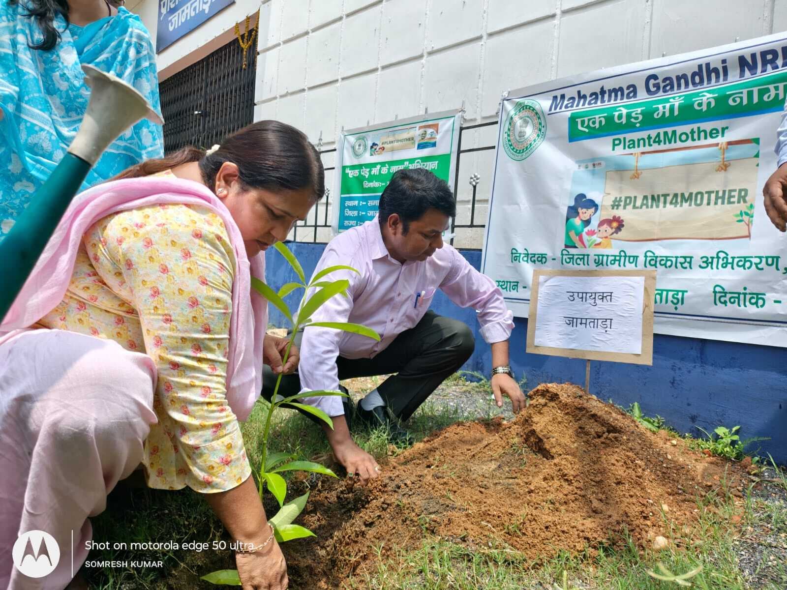 डीसी ने एक पेड़ मां के नाम के तहत किया पौधरोपण