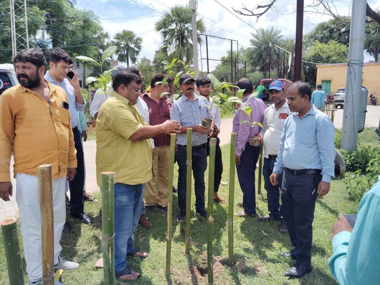 मां के नाम लगाएं पौधा, पर्यावरण संरक्षण में निभाएं दायित्व