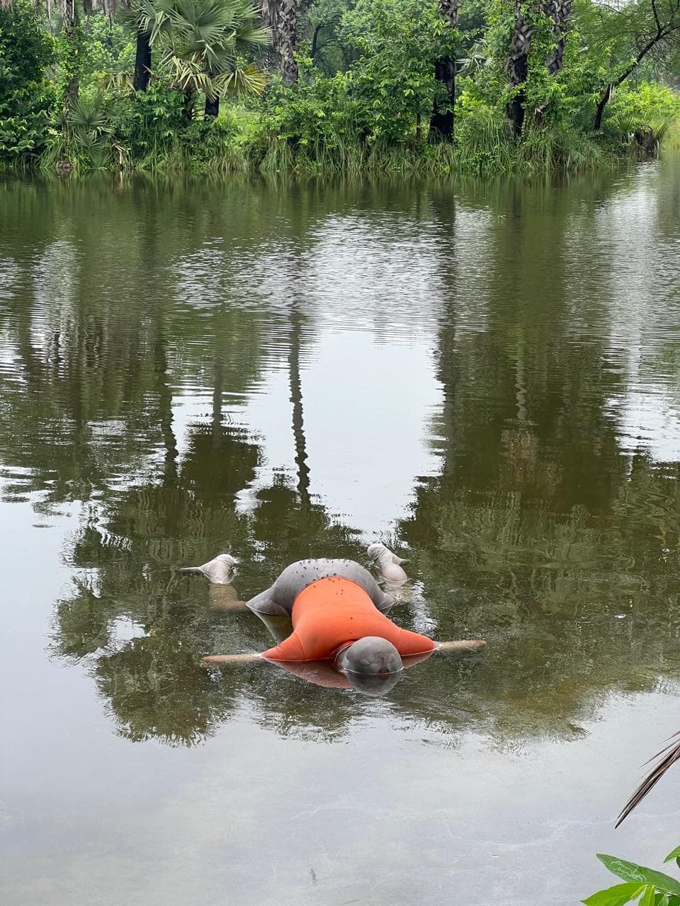 प्रमुख : घर के पीछे गड्ढे में डूबने से अधेड़ की मौत