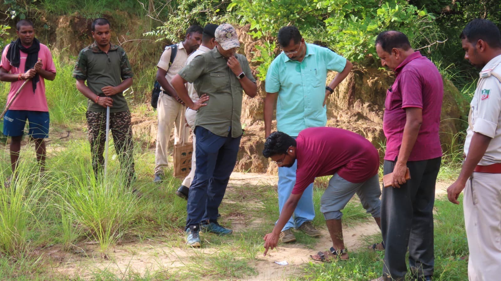दो बाघों की भिड़ंत में एक की मौत, दूसरा जख्मी