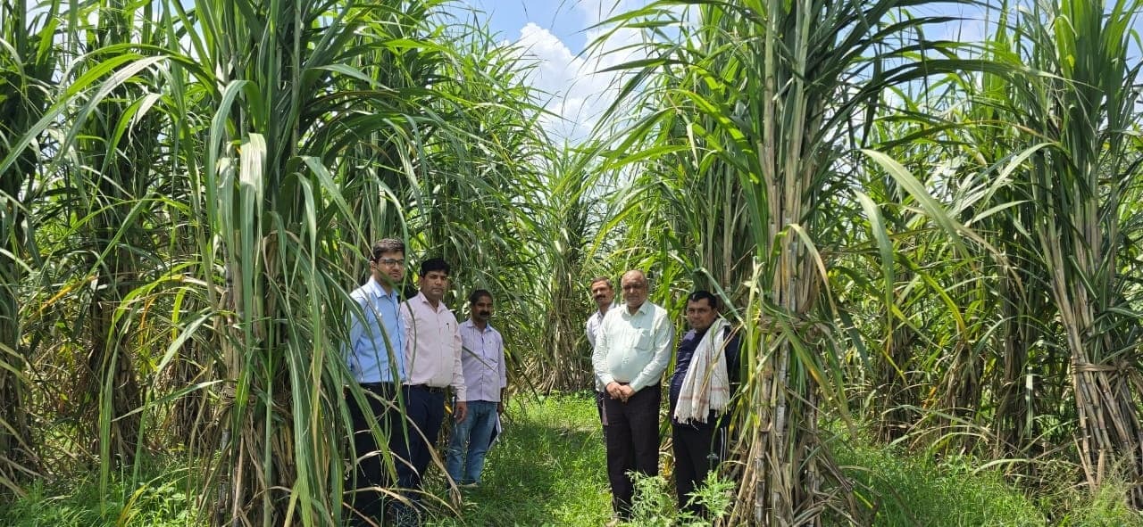 गन्ना विकास पदाधिकारियों ने बेहतर गन्ना फसल प्रबंधन के लिए किया प्रेरित
