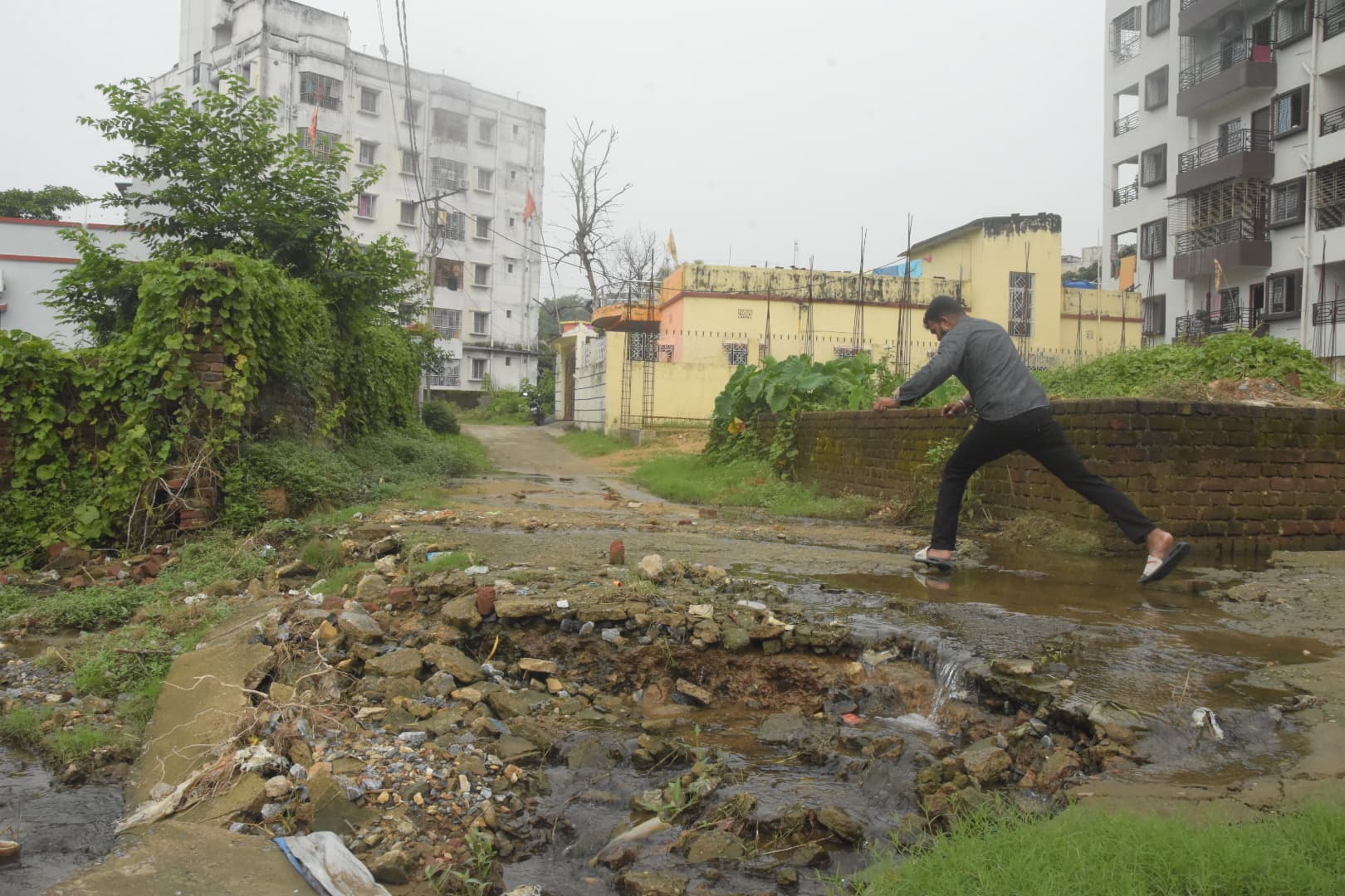 श्याम विहार कॉलोनी : नाली है ना सड़क, जलापूर्ति पाइप से नहीं आता पानी